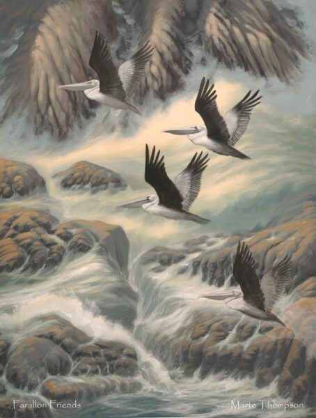 Farallon Pelicans Painting